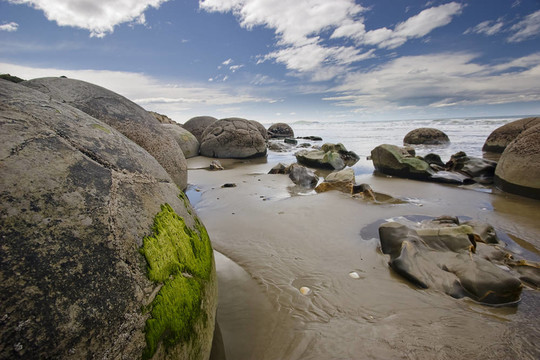 新西蘭- Moeraki Boulders