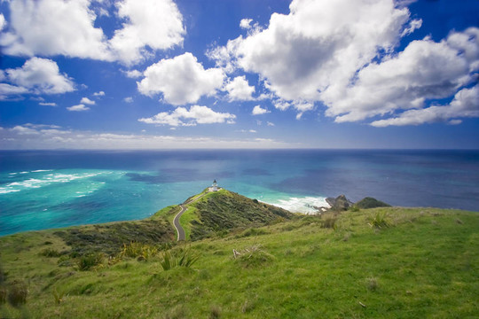 新西蘭- Cape Reinga