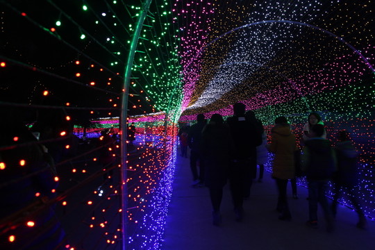 燈展