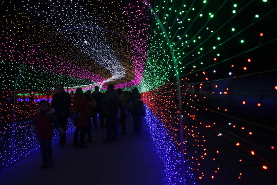燈展
