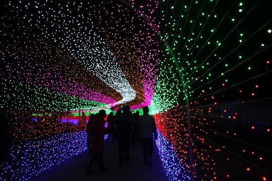 燈展