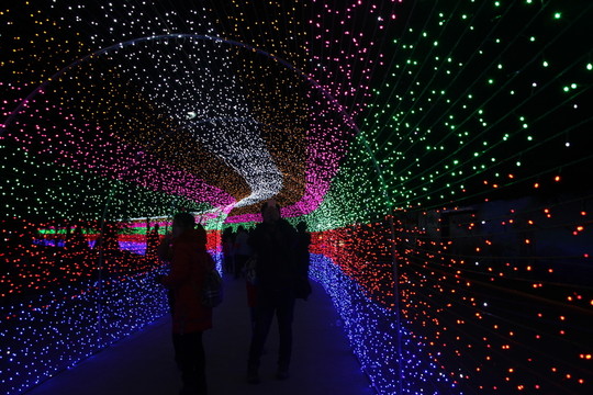 燈展