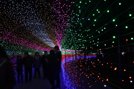 燈展