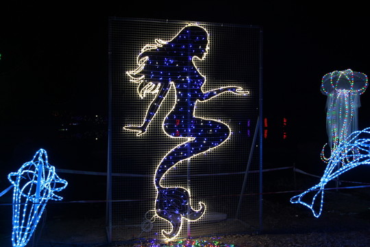 燈展