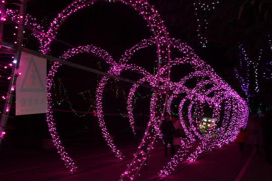 燈展