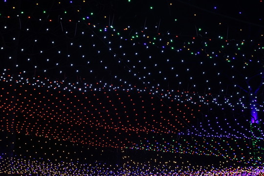 燈展