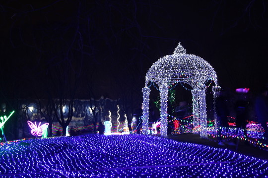 燈展
