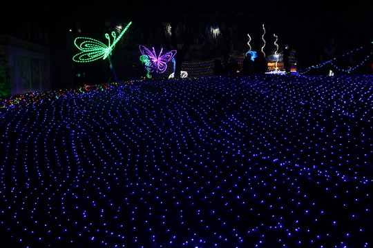 燈展