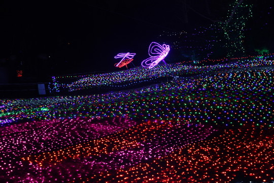 燈展