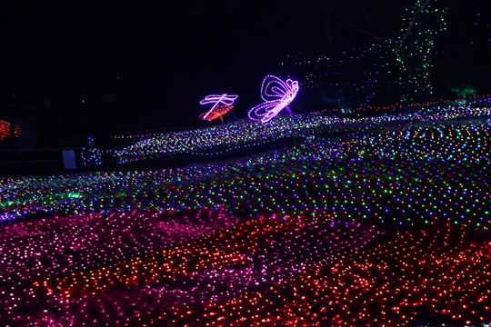 燈展