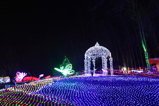 燈展