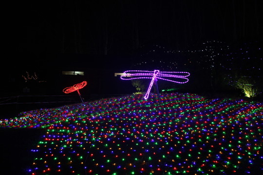 燈展