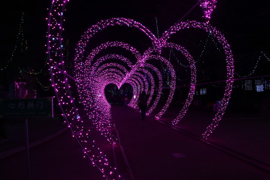 燈展