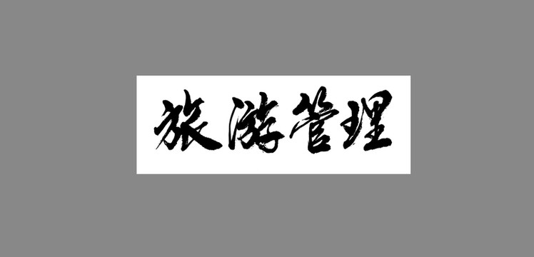 旅游管理