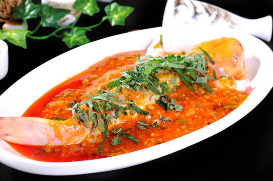 藿香黃鯊魚(yú)
