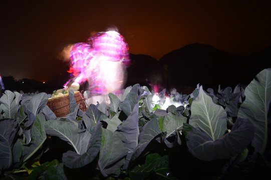 采花菜