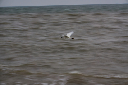 海浪