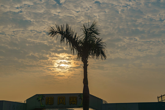 廈門海濱朝霞