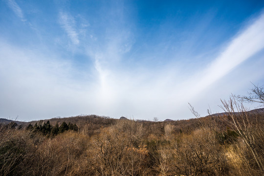 荒山野嶺
