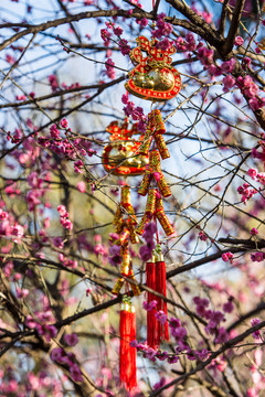 紅梅樹上的福字中國結(jié)