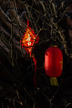 瓦頂屋檐老樹(shù)中國(guó)結(jié)