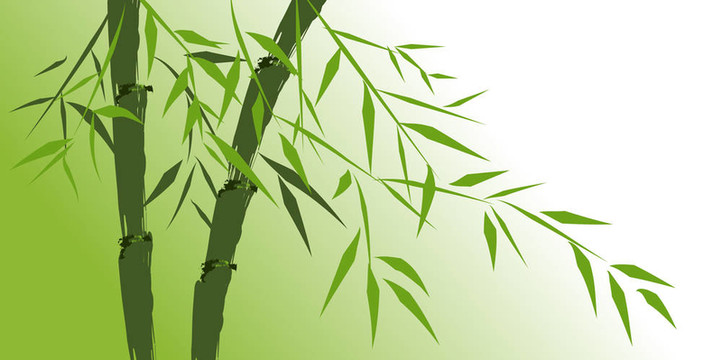 中國竹類樹種設(shè)計(jì)