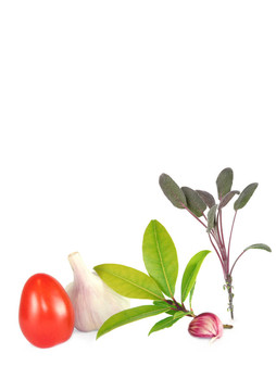 番茄；大蒜和香草