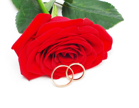 玫瑰和結(jié)婚戒指