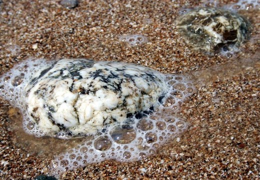灰色的海卵石