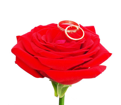 紅色玫瑰與結(jié)婚戒指