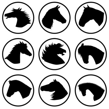 帶有馬頭的圖標(biāo)