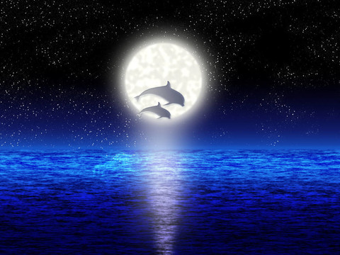 海豚