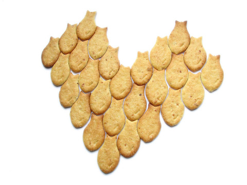 破碎的心