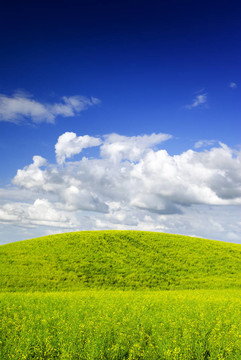 夏天的風(fēng)景。