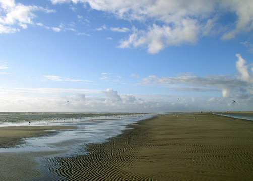 北海