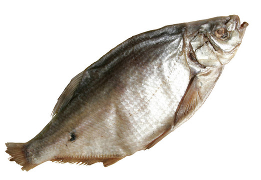 孤立的魚干