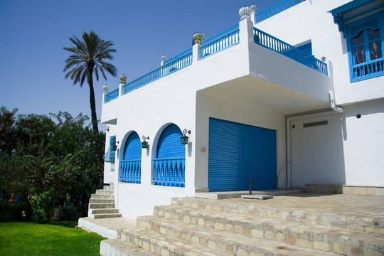 美麗的房子Sidi Bou Said