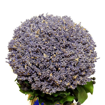 薰衣草