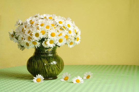 Daisy bouquet在桌子上