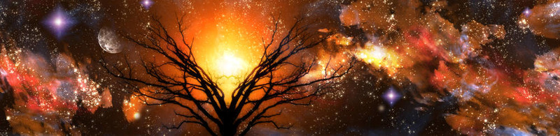 奇幻的風(fēng)景