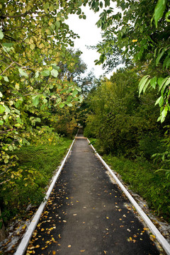 公園路2號(hào)