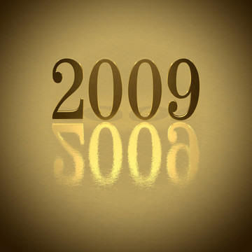 金2009