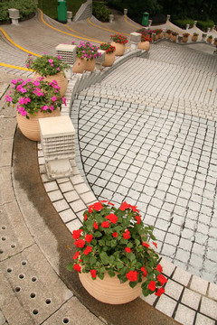 香港園；香港