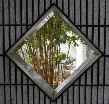 香港園；香港