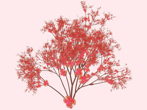 櫻花