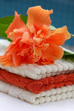 用軟毛巾疊hibiskus