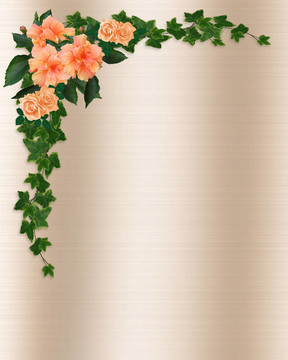 常春藤；芙蓉和Roses Floral