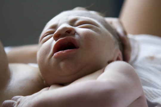 新生的嬰兒
