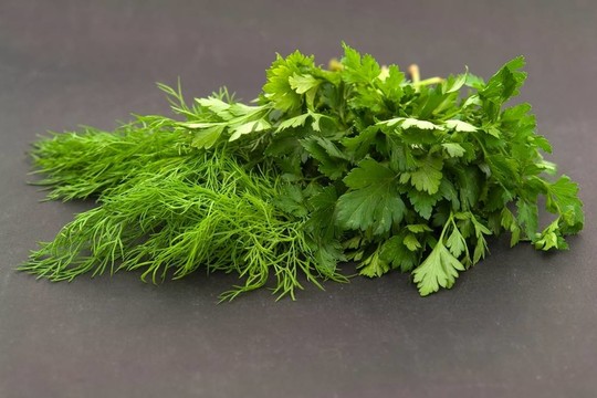 蒔蘿和歐芹
