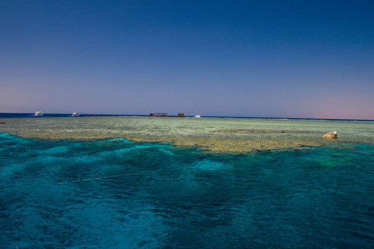 埃及海景觀